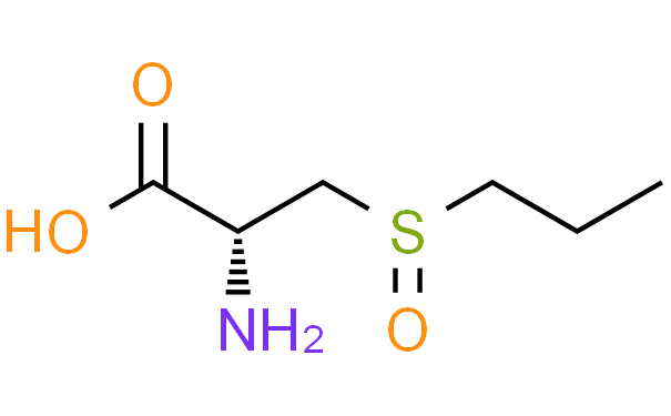S-������-L-���װ�������